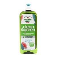 Morning Fresh Ultra Concentrate Dishwashing Liquid Eucalyptus 650mL